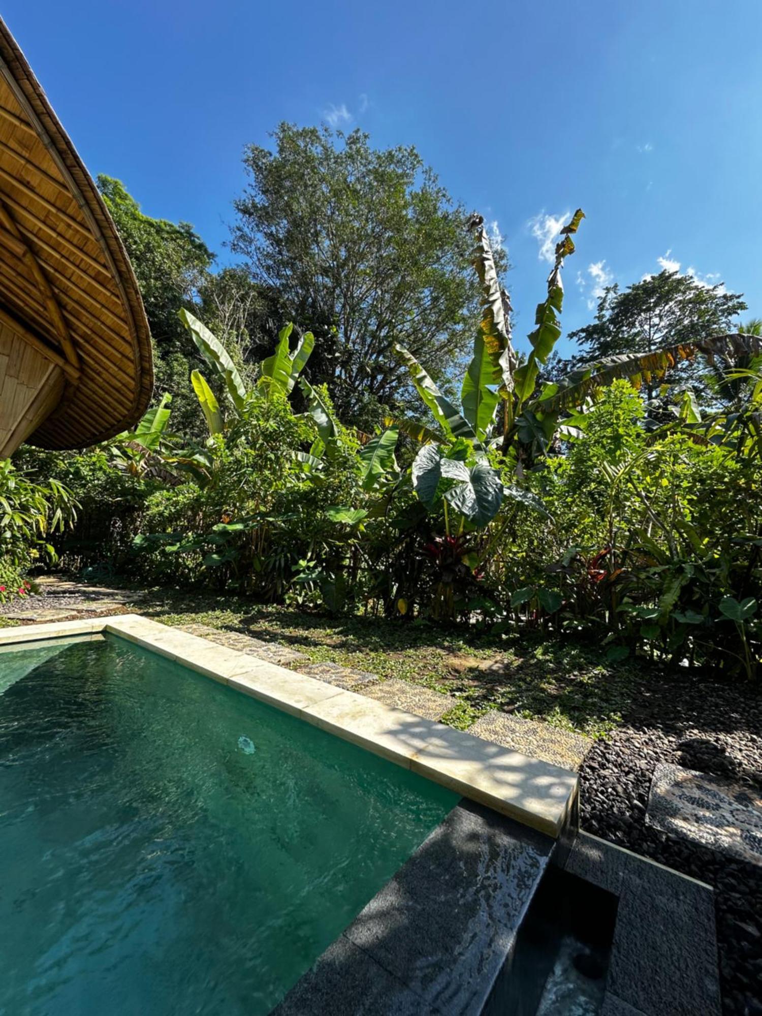 Вилла Bamboo House - Ecobreeze Сидемен Экстерьер фото